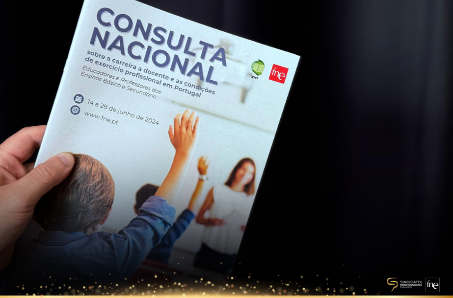 Consulta Nacional da FNE a docentes