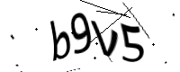 captcha_img