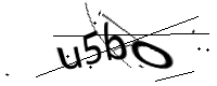 captcha_img