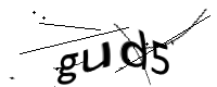 captcha_img