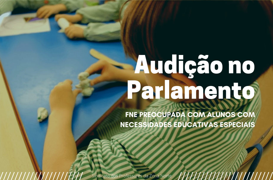 Em audição no Parlamento - FNE preocupada com alunos com necessidades educativas especiais