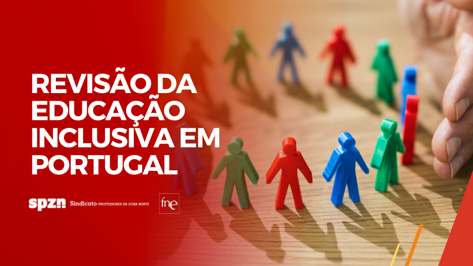 Revisão da Educação Inclusiva em Portugal da OCDE cita Consulta Nacional da FNE 2019