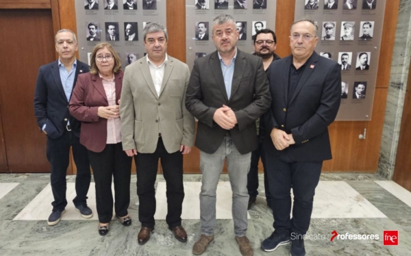 FNE participou em reunião de trabalho com o MECI sobre a revisão da carreira docente e legislação subsidiária