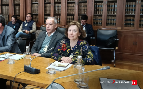 FNE marcou presença na Audição sobre a revisão do ECD na AR